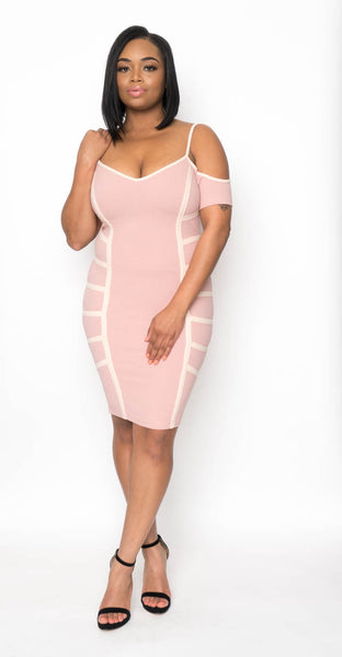 Understated Beauty Dress  Mauve Nude