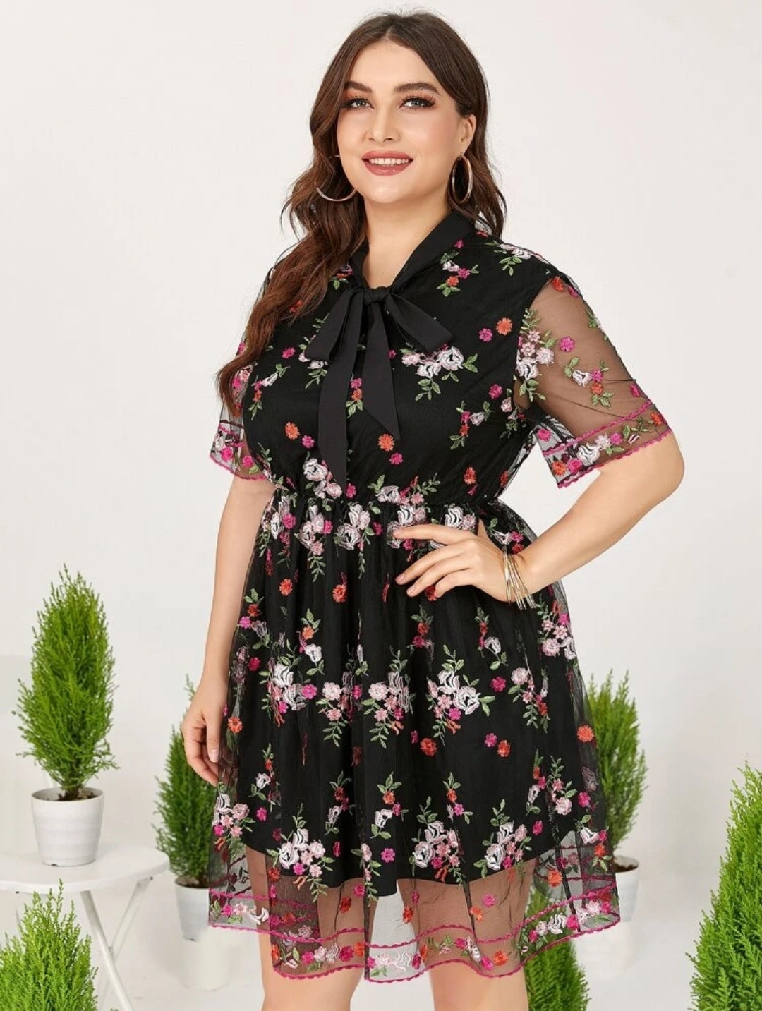 Reewa Shein PLus Dress